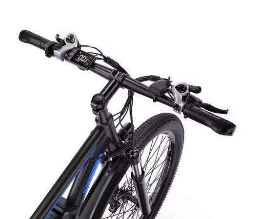 E Bike